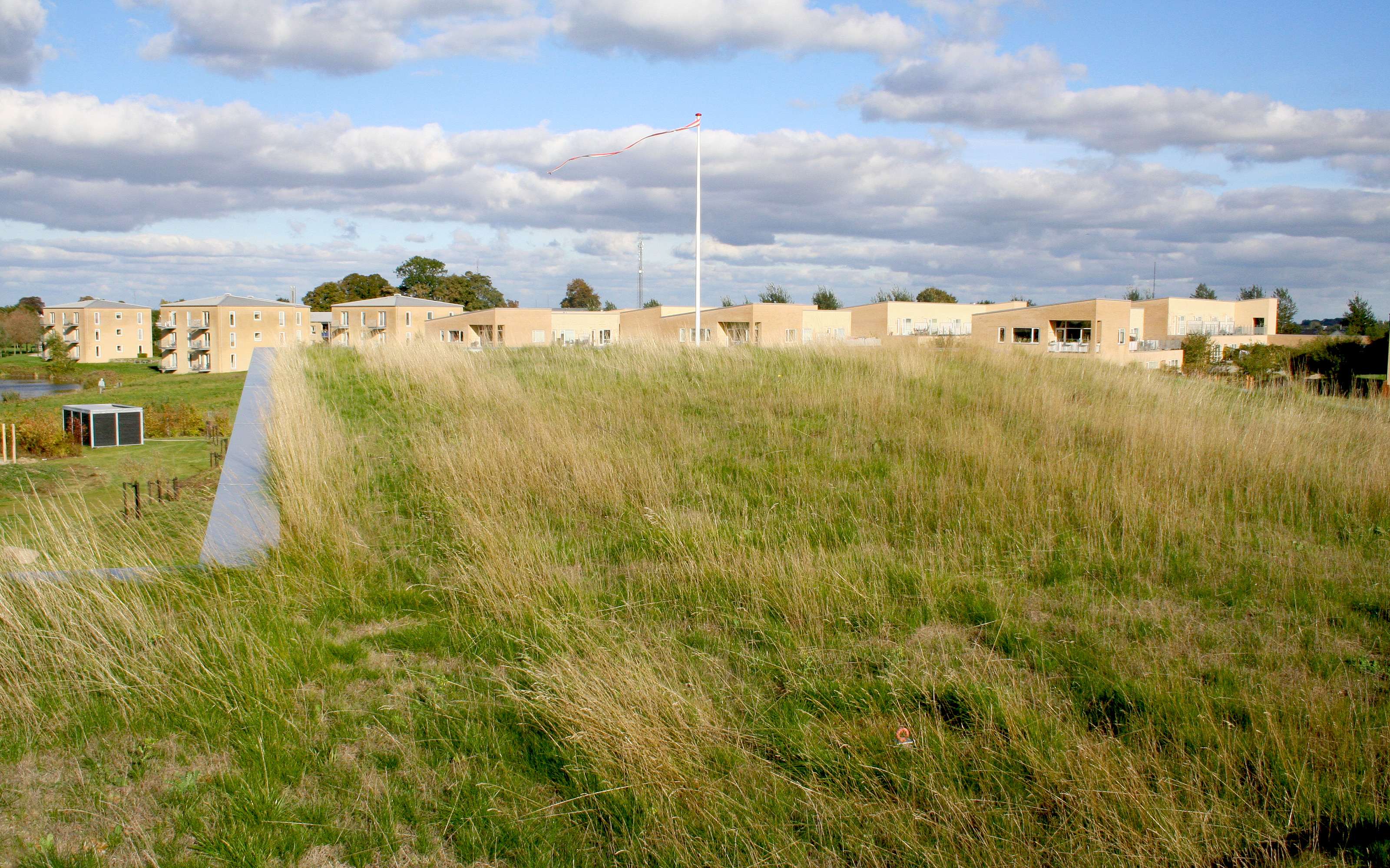 The green roof can hardly be distinguished from the surrounding landscape. Gras roof  surrounded by meadows